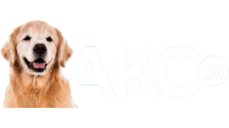 AKC TV Meet the Breeds