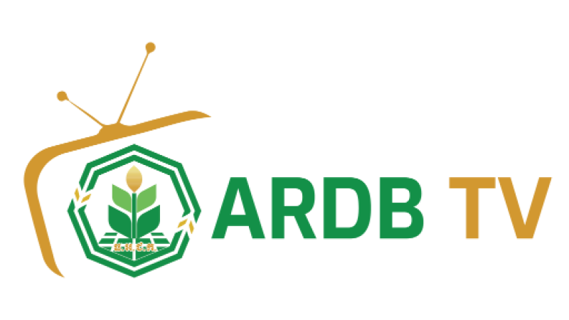 ARDB TV