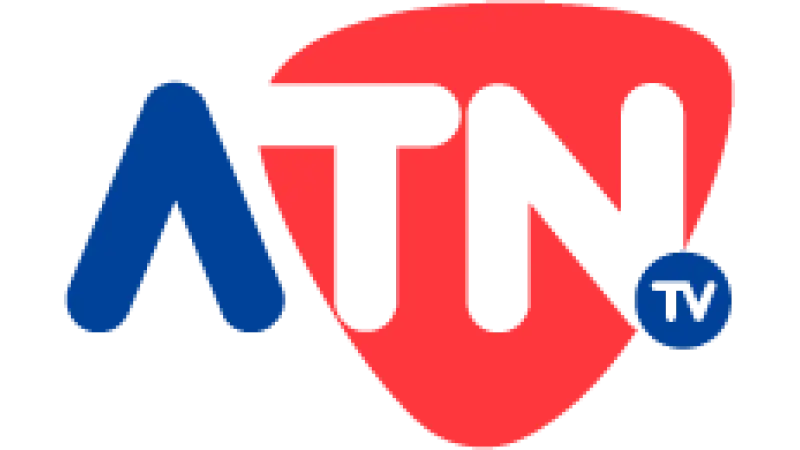 ATN Television