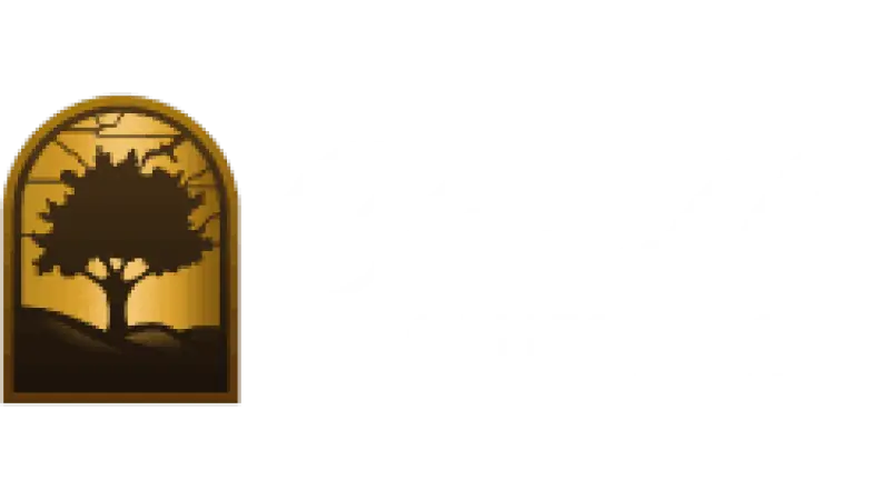 City TV Channel 3/41