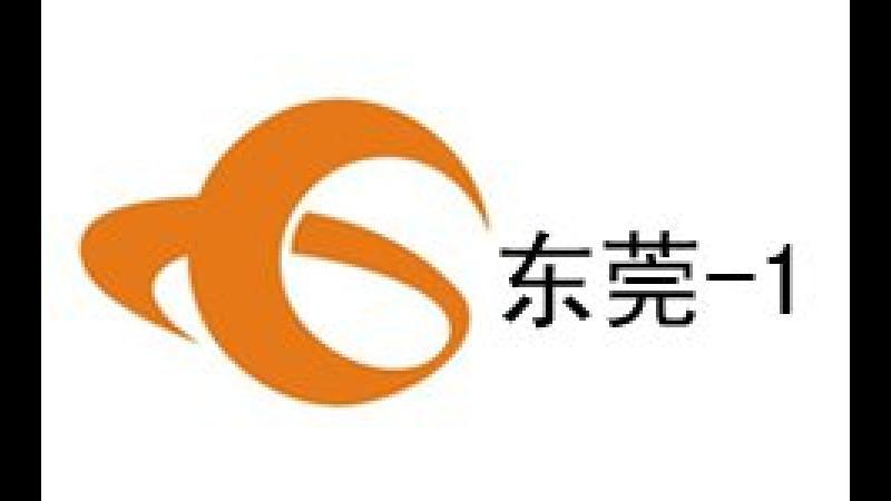 Dongguan Comprehensive News Channel