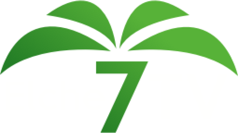 Elche 7 TV
