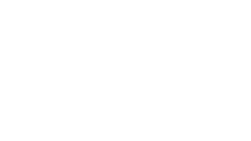 ge Fast