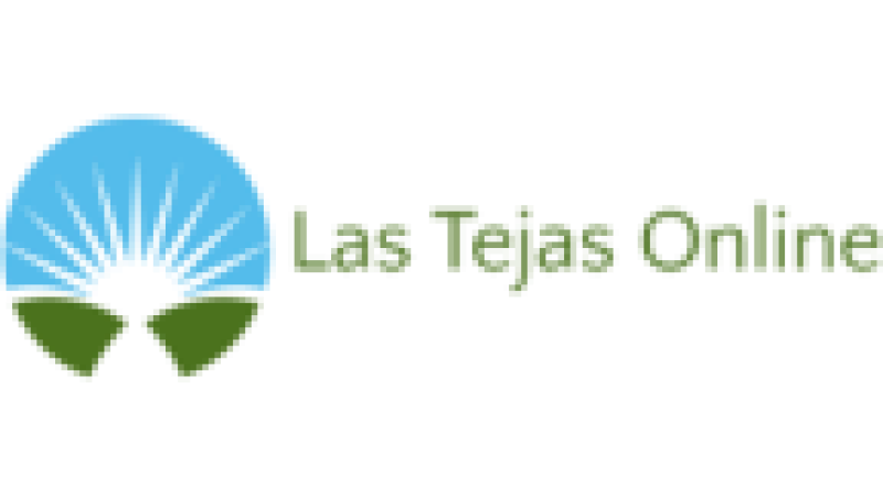 LTO Television