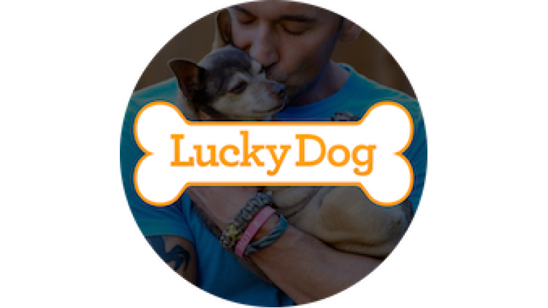 Lucky Dog
