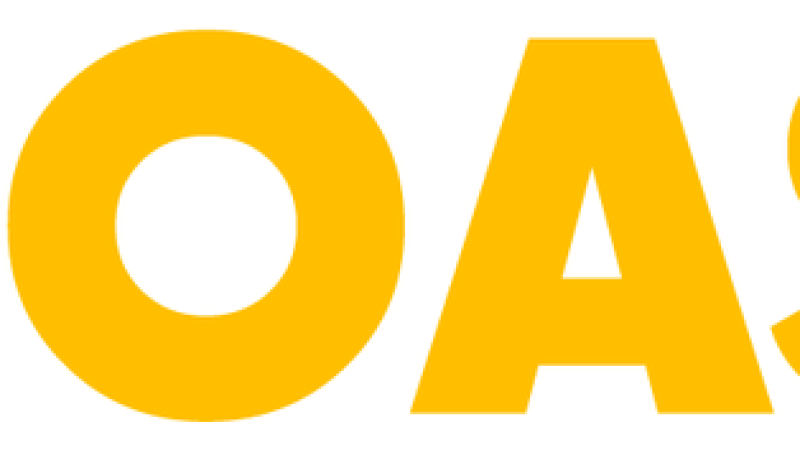 Oasis RTV