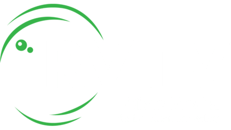 RVTV