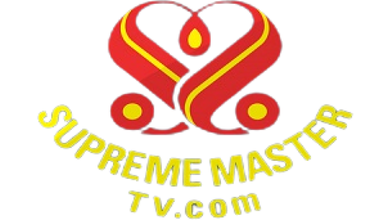 Supreme Master TV