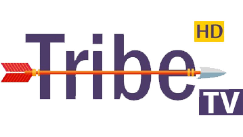 Tribe TV