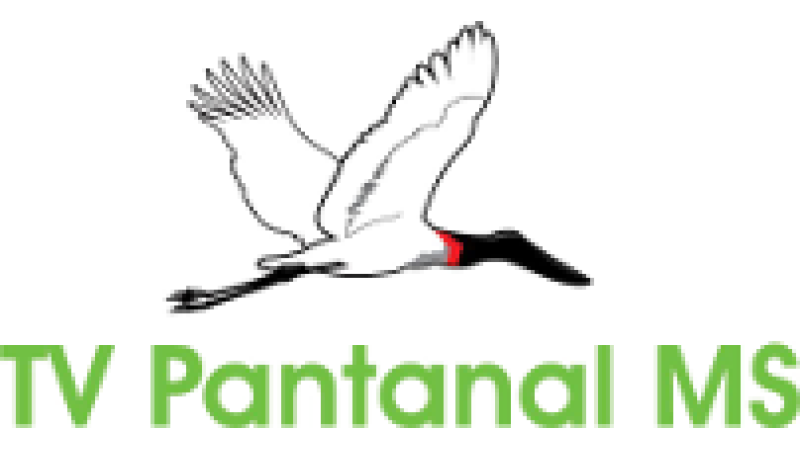 TV Pantanal MS
