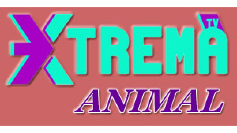 Xtrema Anime