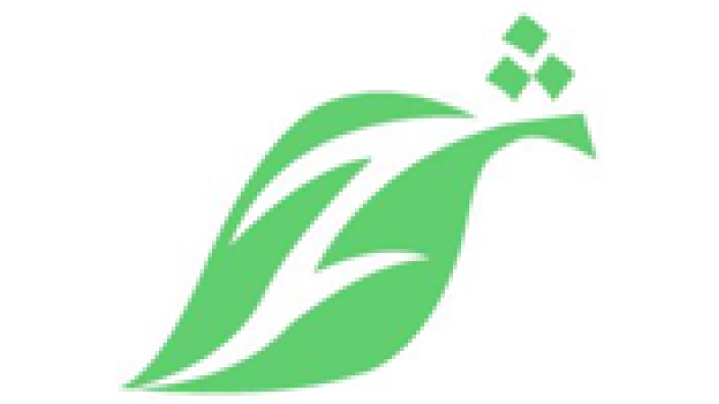 Zhwandoon TV